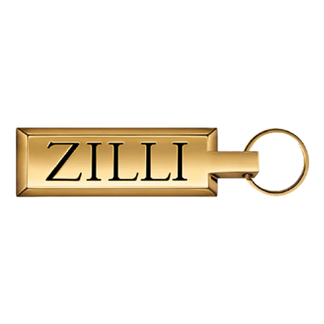 ZilliqaP图标