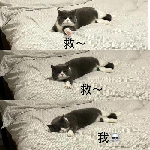 救救我吧