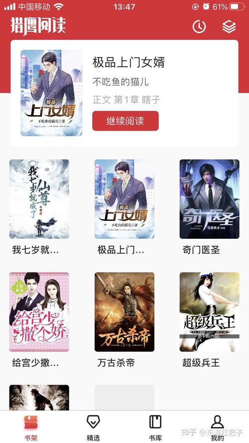 猎鹰免费小说免费