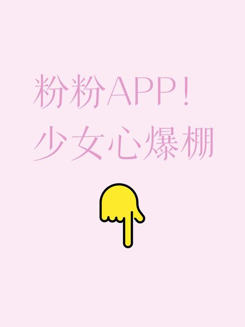 趣粉20爆粉挣钱