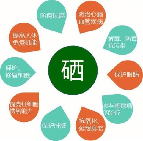 硒元宝安卓版图标