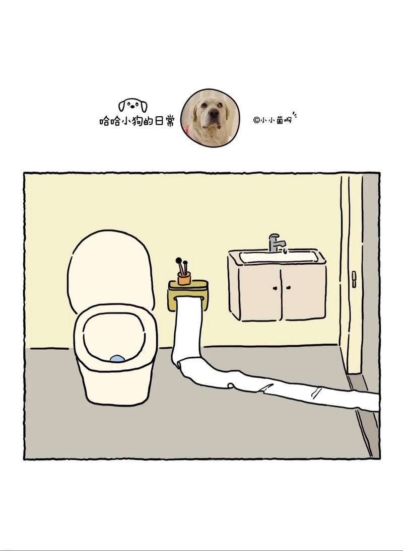 纸巾漫画免费版手