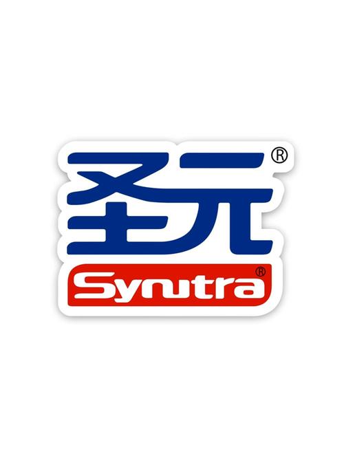 圣者为王答题助手