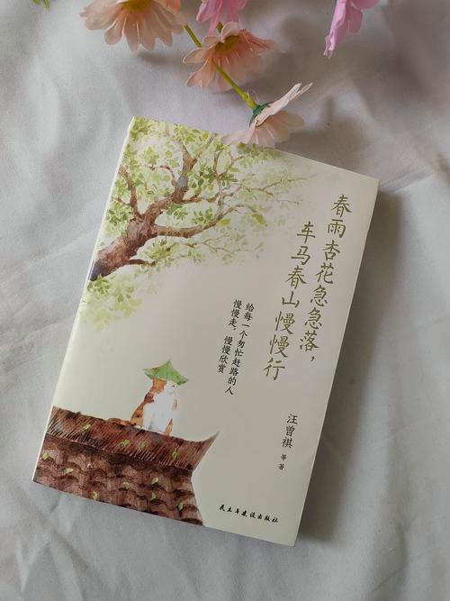 杏花小说阅读器手图标
