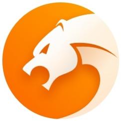 猎豹浏览器微信抢