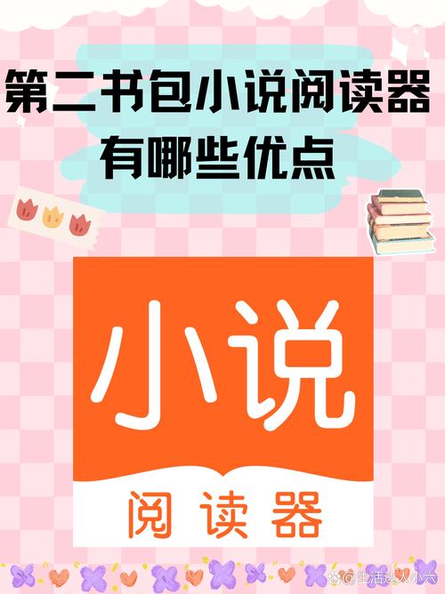 精品第二书包小说