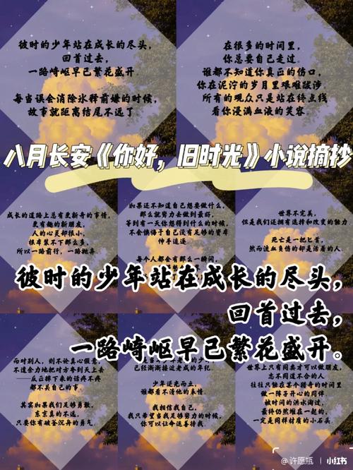 时光文学安卓手机