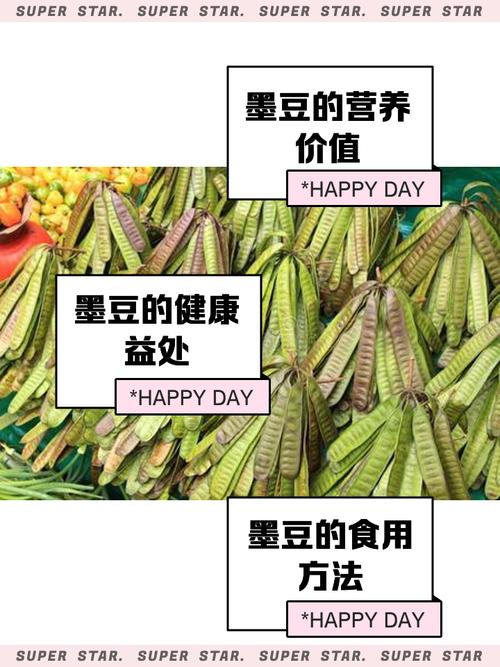 墨芽豆