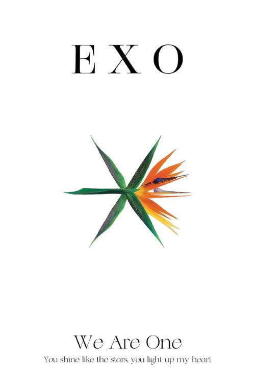 我男神找我EXO图标