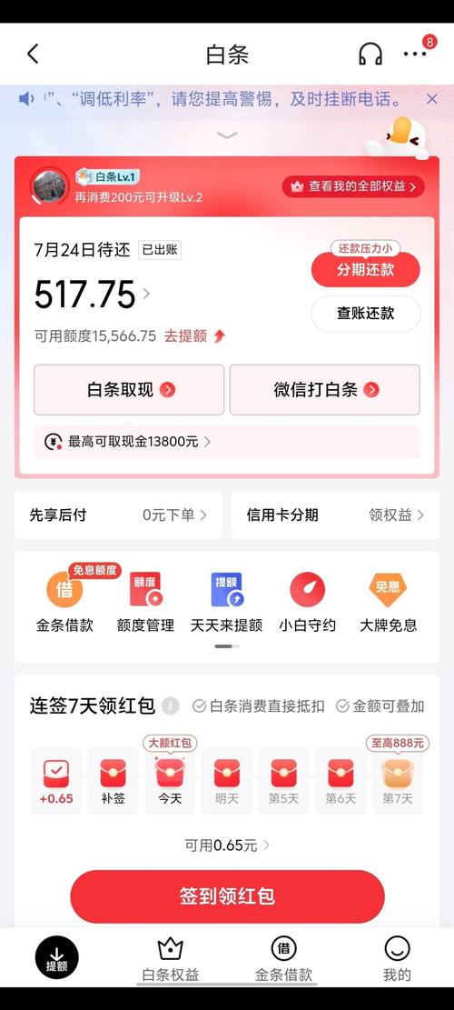 速借白条