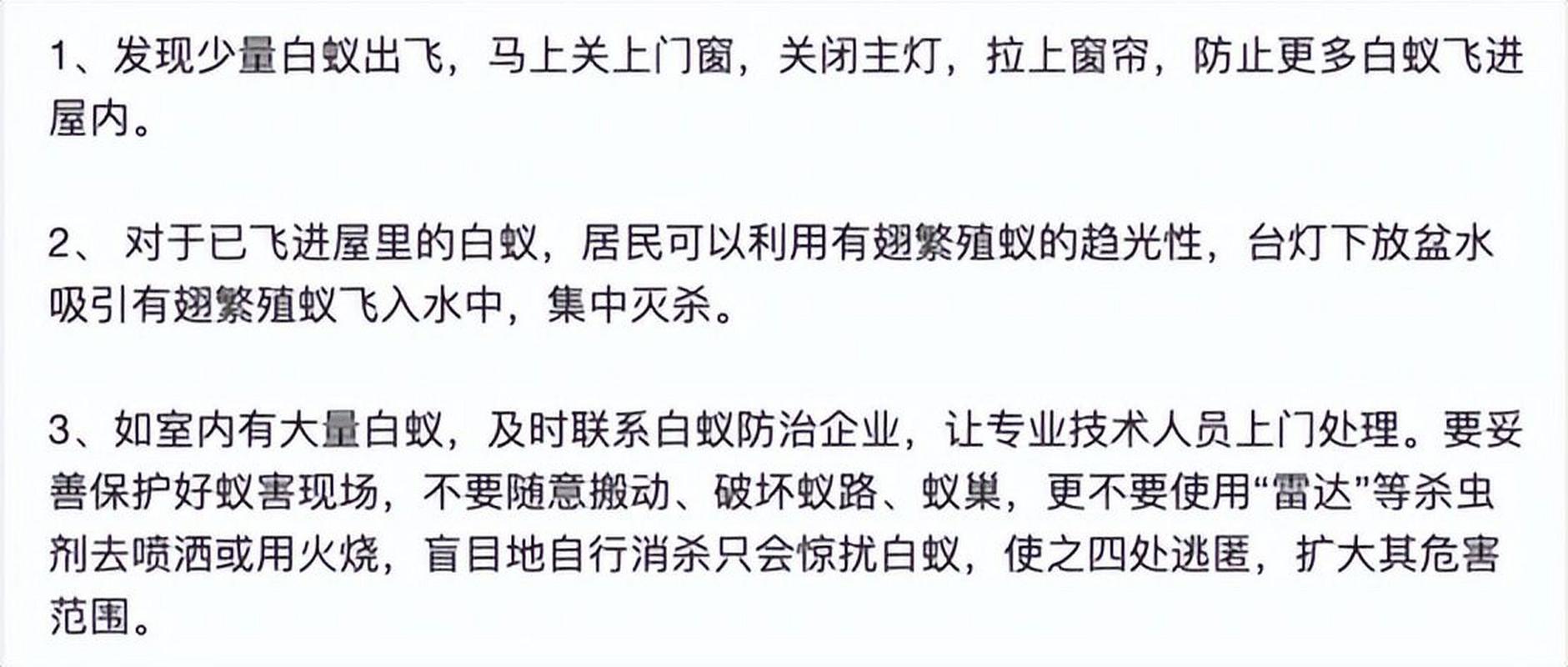 白蚁借