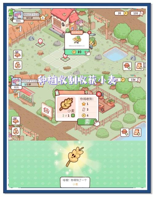 我的农场梦