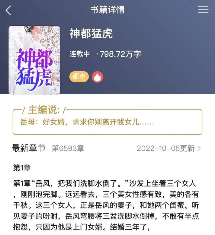 岳风小说全文免费