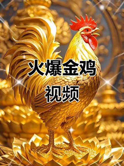 金鸡短视频赚钱版