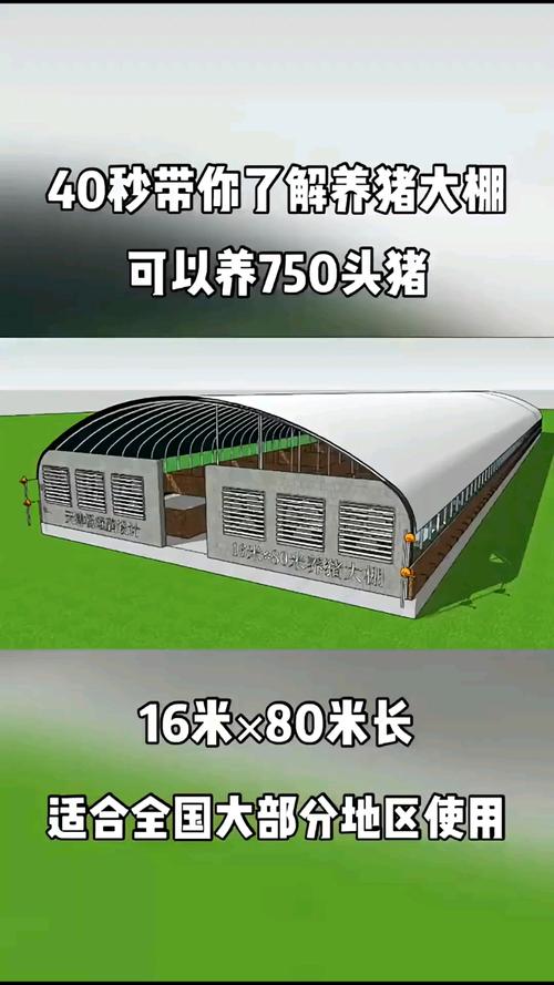 阳光温室大棚养猪