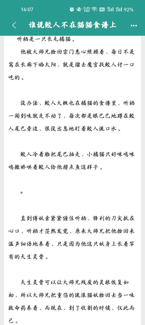 橘子猫小说