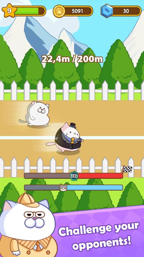 跑步猫安装