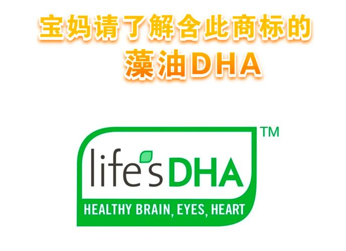 DHA赚钱图标