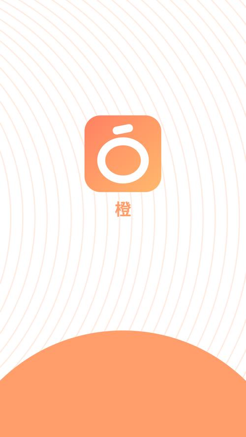 橙玩app安卓版图标