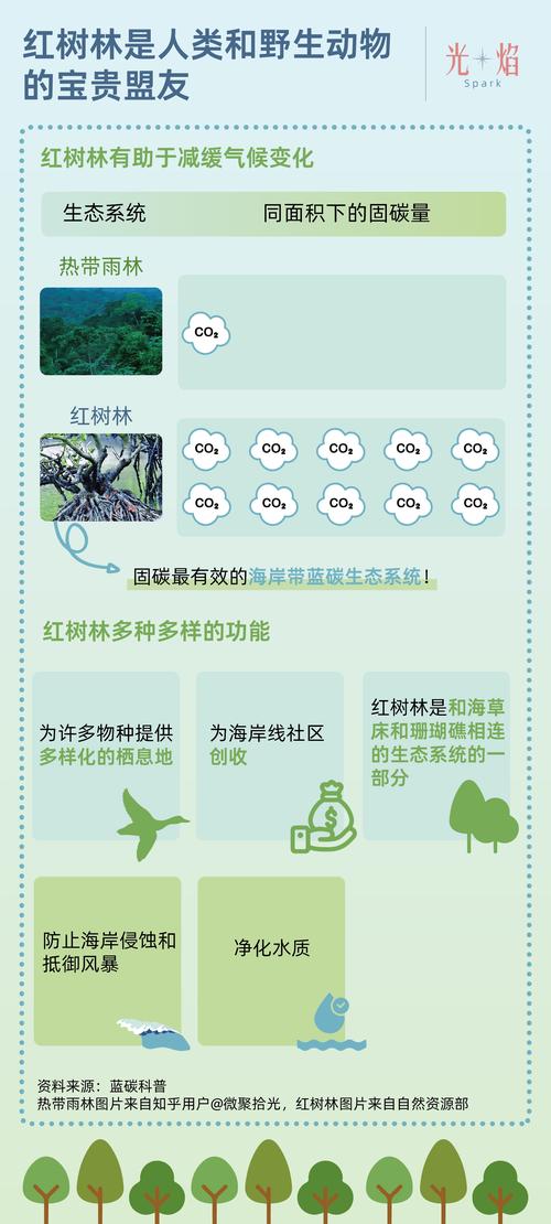 树林分期