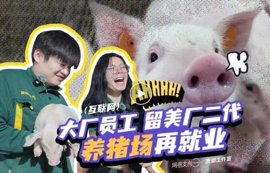 辞职去养猪福利红
