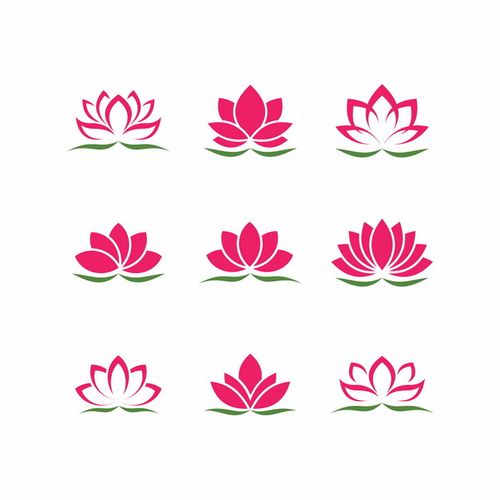 荷花网正式版图标