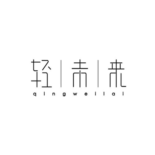 轻未来图标