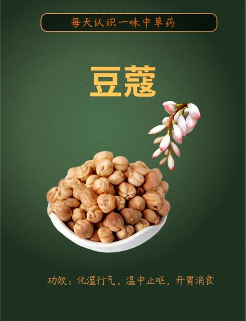 豆蔻视频图标