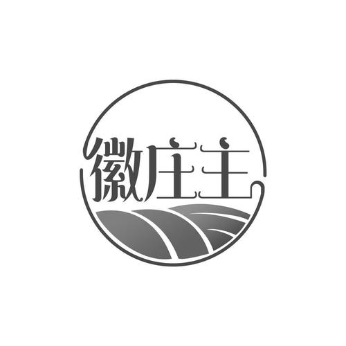 庄主图标