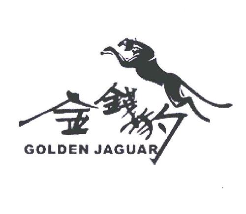 金钱豹看广告图标