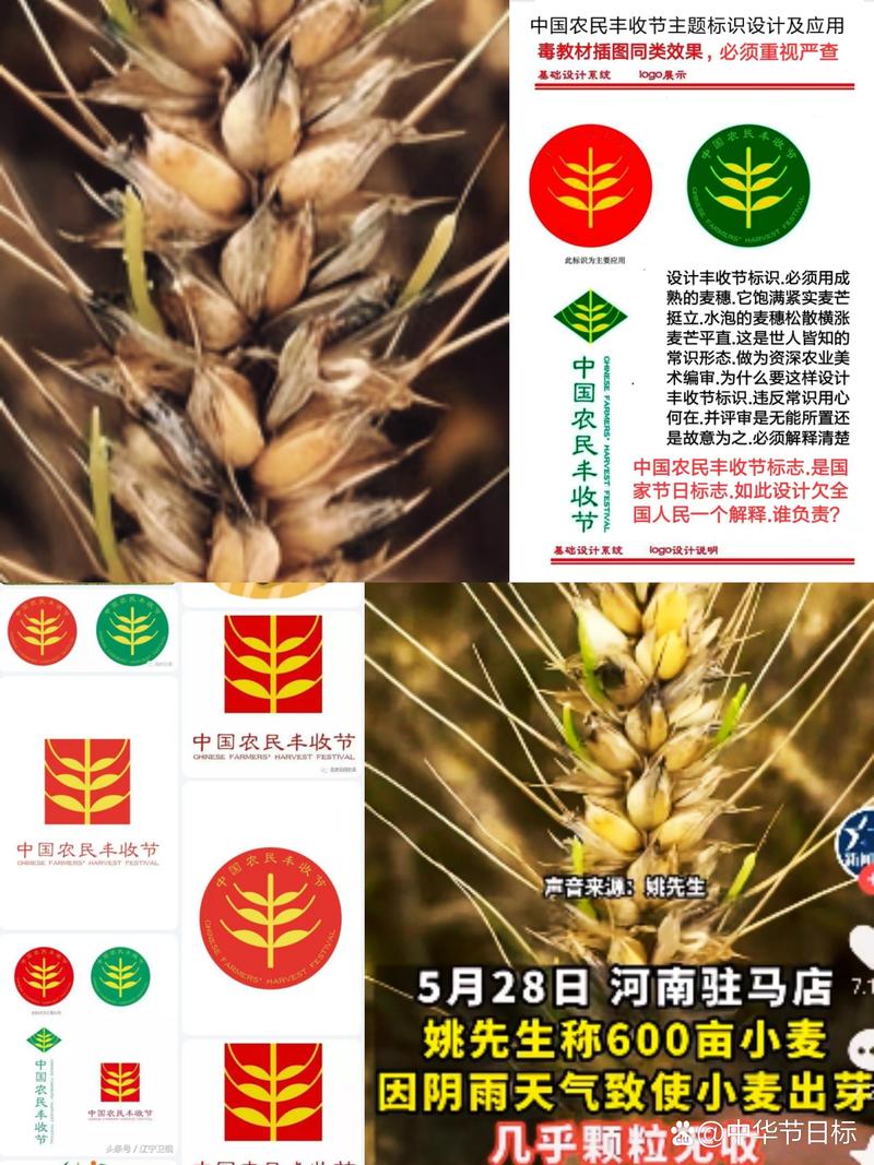 美农链手机版