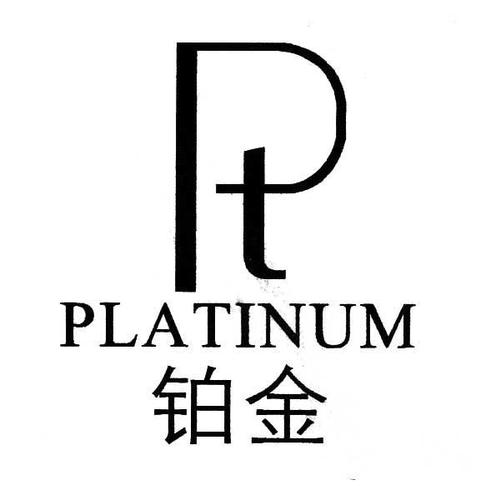 白金矿工图标