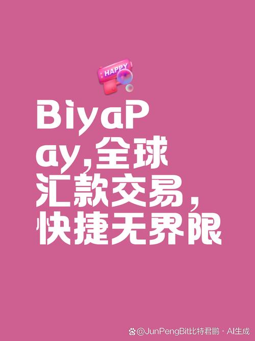 SoPay币手机图标