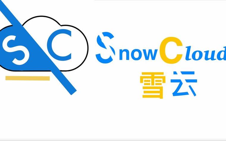 雪云接单平台图标