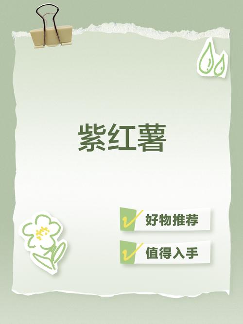 紫薯短视频安卓版图标