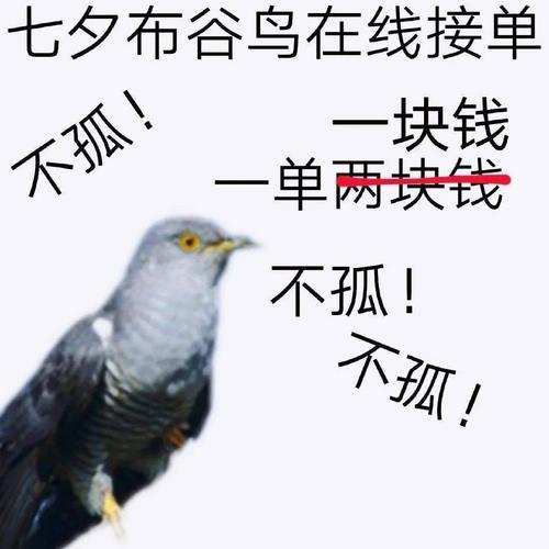 七夕不孤鸟表情包