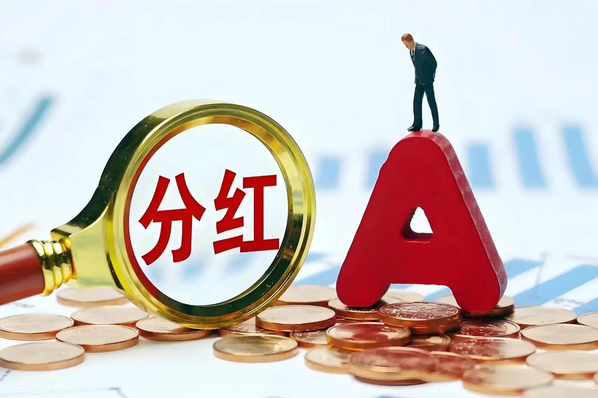可以每天分红的视图标