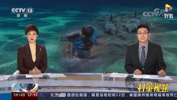 天见新闻