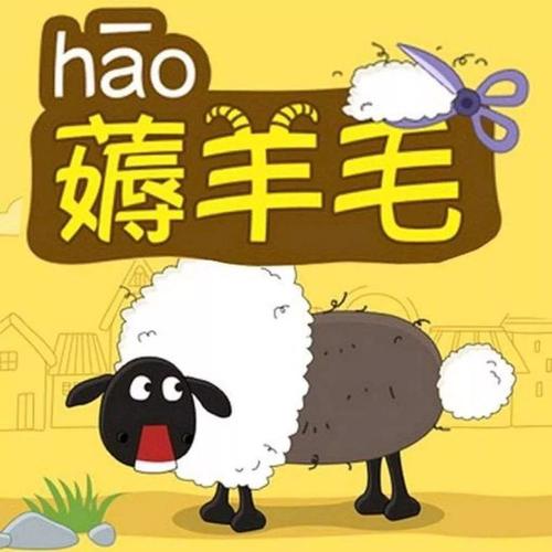 羊毛冲冲答