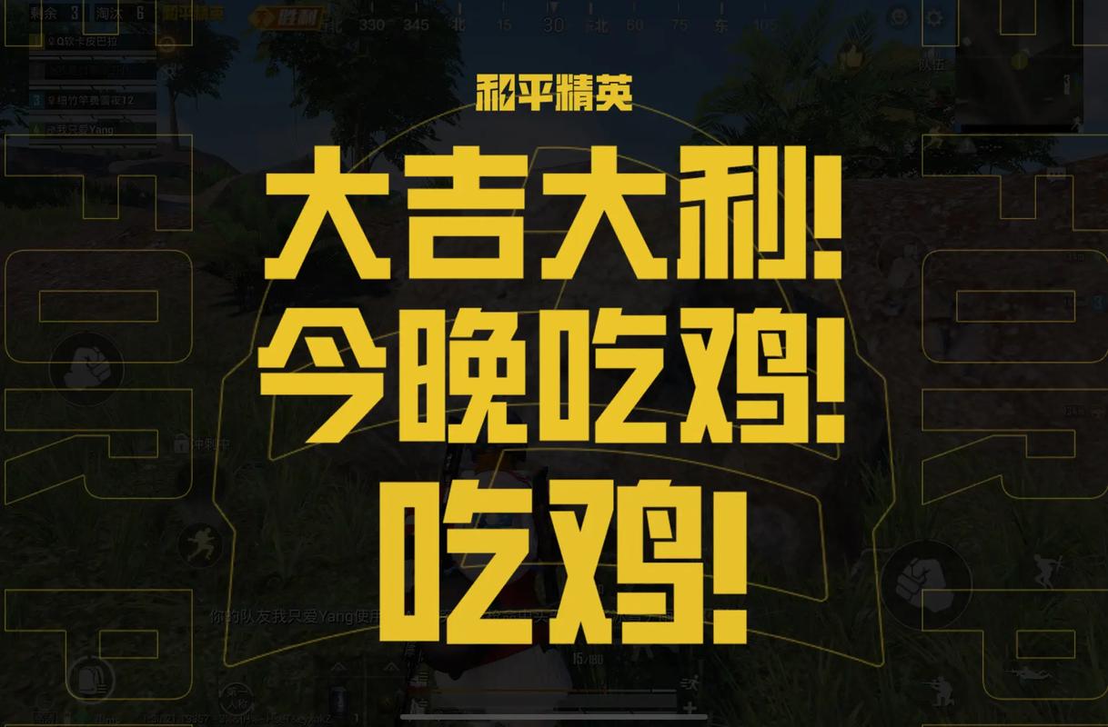 吃鸡大吉