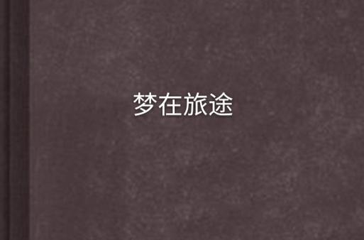 梦在旅途