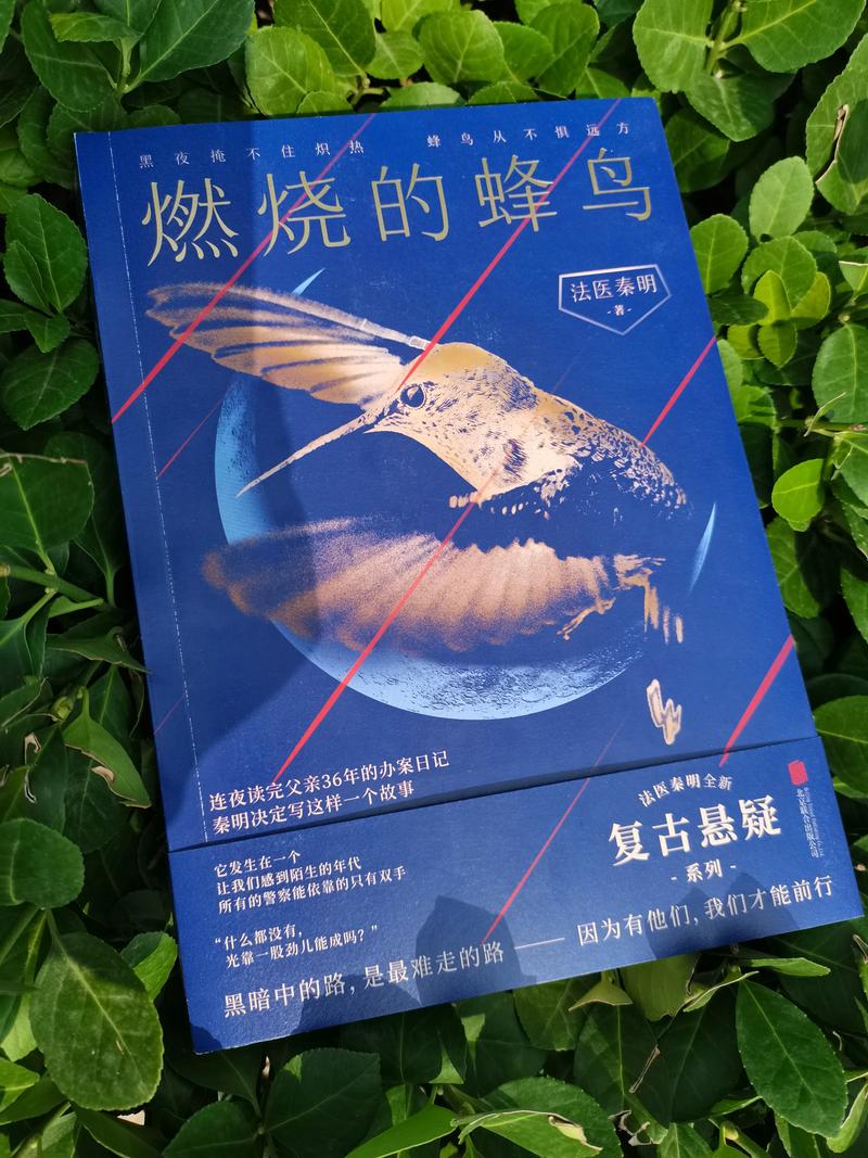 蜂鸟小说安卓