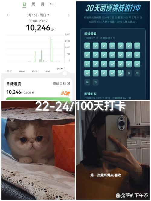 一禾打卡真实版