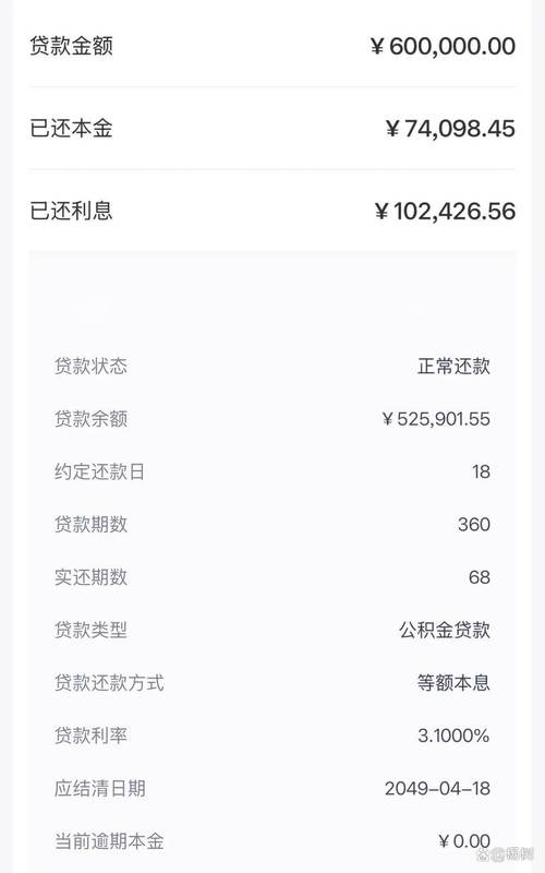 百万大鹅贷款