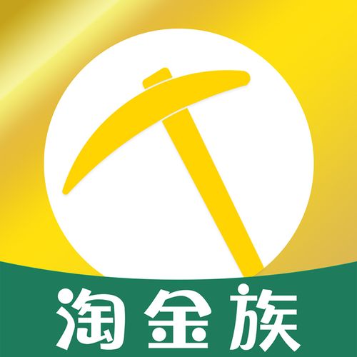 淘金视频v100