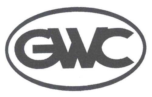 GWC最新网址图标