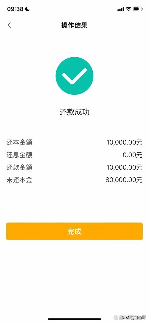 金椰树借款