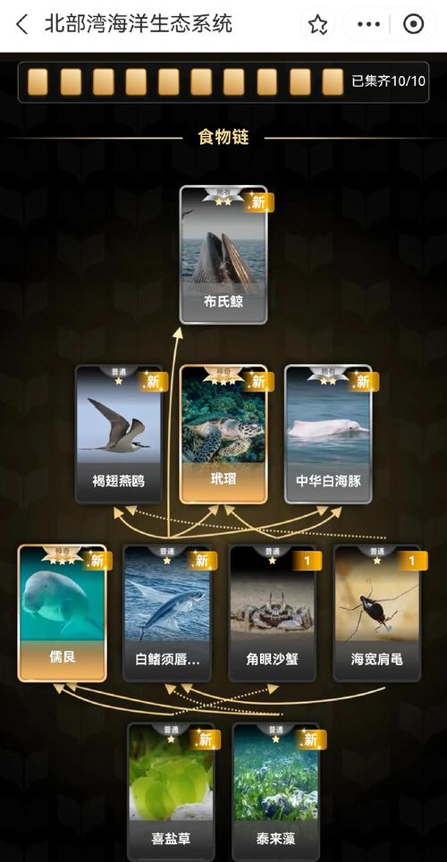 海底奇观注册官网