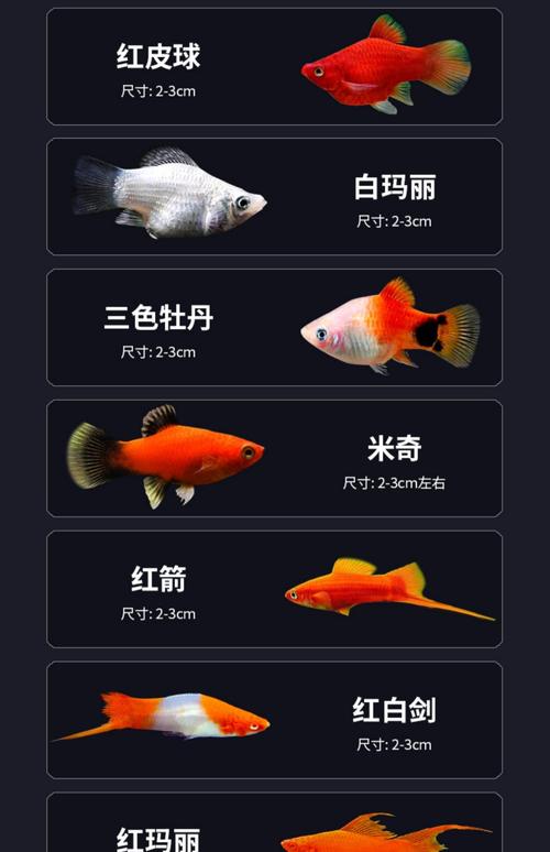 孔雀平台赚钱app