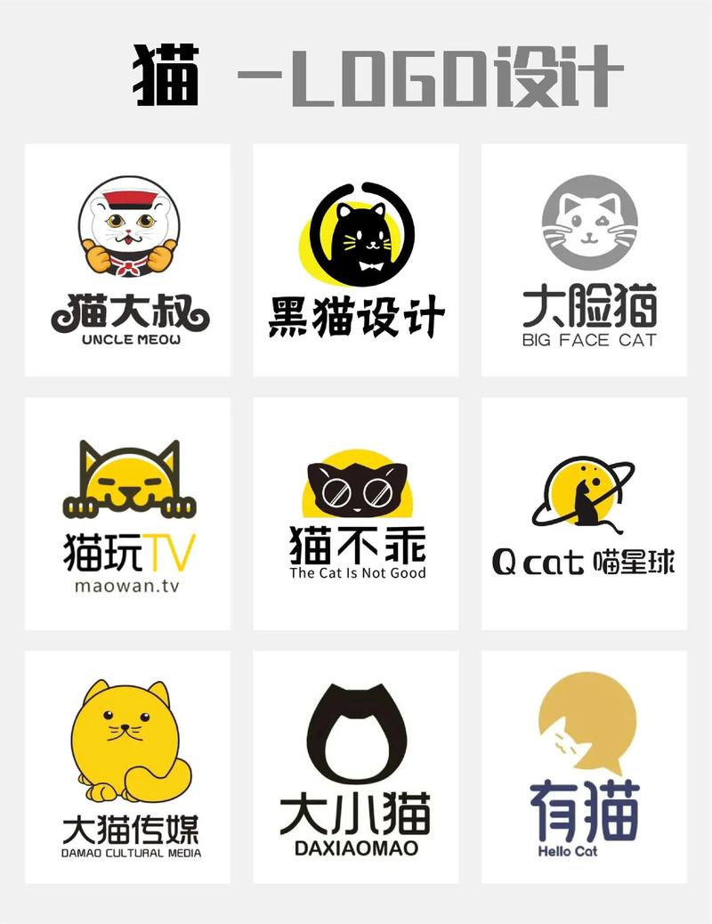猫新区短视频图标